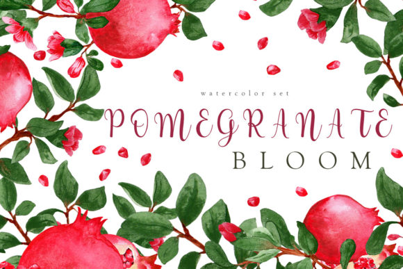 Download "Pomegranate Bloom" Watercolor Set - Bloom Collection